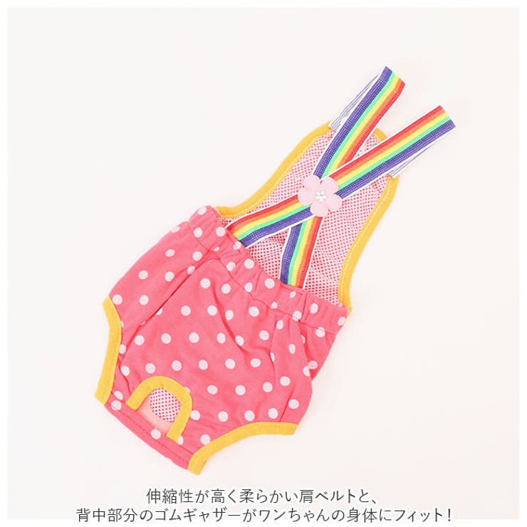 サニタリーパンツ 生理パンツ 女の子 犬 dogspml6 | BACKYARD FAMILY | 詳細画像5 