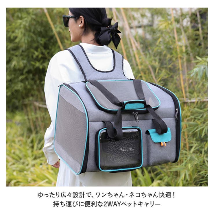 ペット