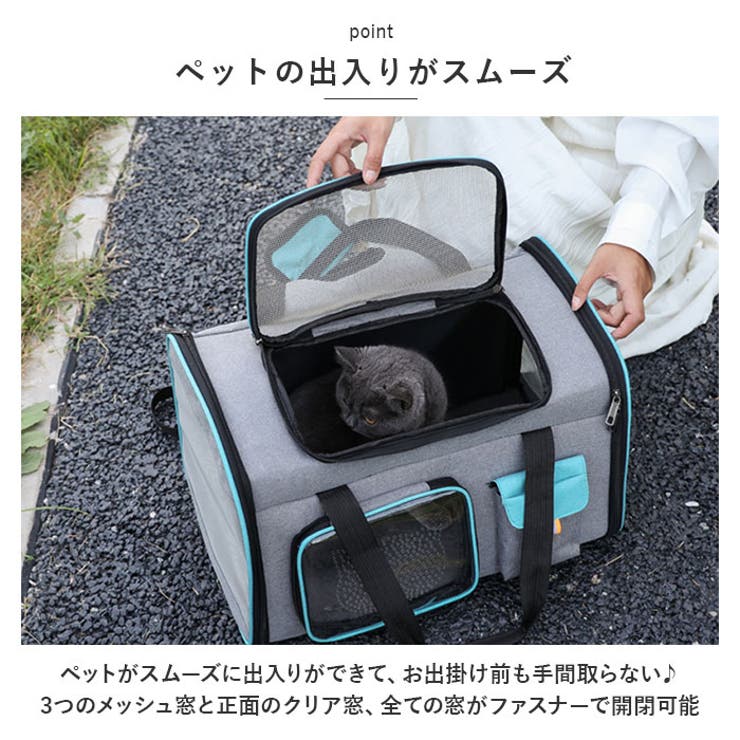 ペット