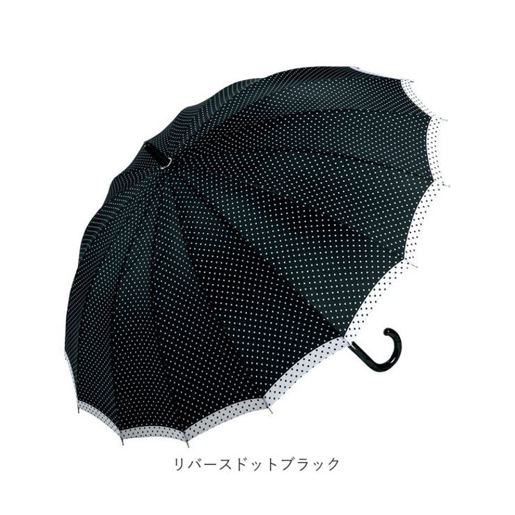 16本骨 ジャンプ傘 55cm | BACKYARD FAMILY | 詳細画像15 