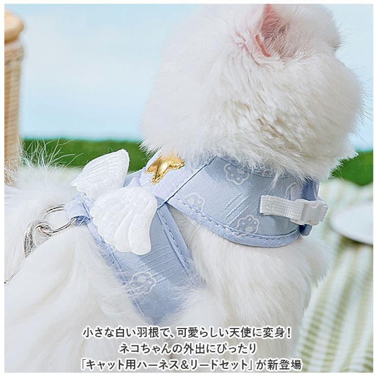 新品】ペット用トートバッグ+ハーネス+リード おさんぽセット