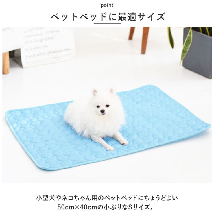 ペットシート Sサイズ petmat5040 | BACKYARD FAMILY | 詳細画像4 