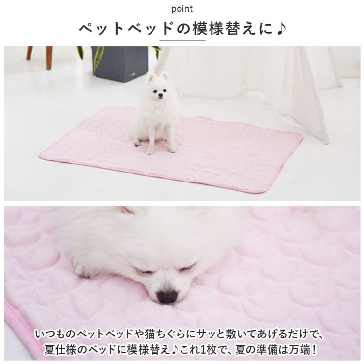 ペットシート Sサイズ petmat5040 | BACKYARD FAMILY | 詳細画像5 
