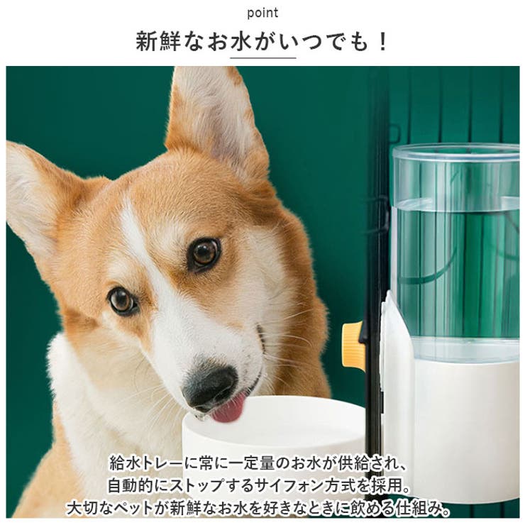 ペット
