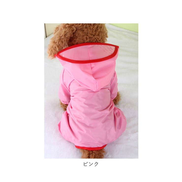 犬レインコード pkaccope0309 | BACKYARD FAMILY | 詳細画像17 