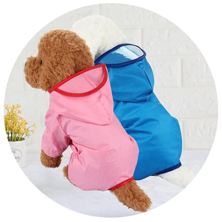 犬レインコード pkaccope0309 | BACKYARD FAMILY | 詳細画像3 