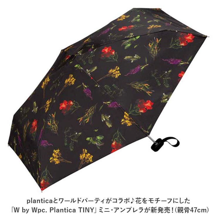 ワールドパーティー W by | BACKYARD FAMILY | 詳細画像2 