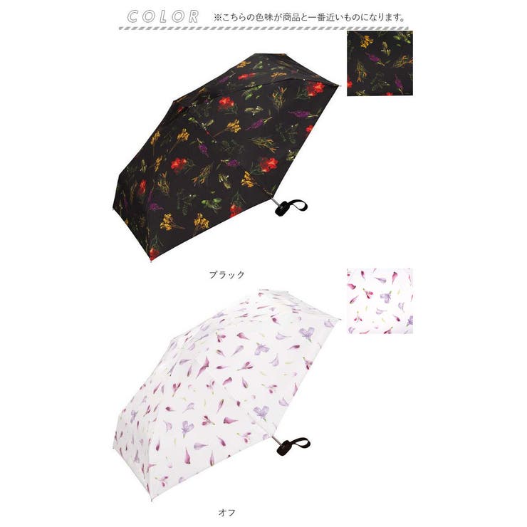 ワールドパーティー W by | BACKYARD FAMILY | 詳細画像10 