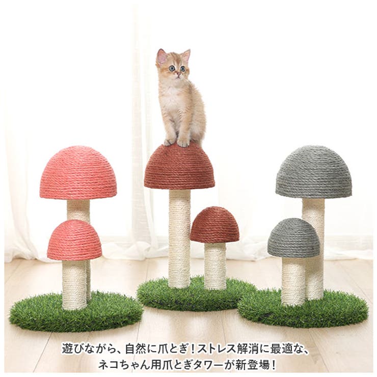 猫爪とぎ pkxx2033 | BACKYARD FAMILY | 詳細画像2 