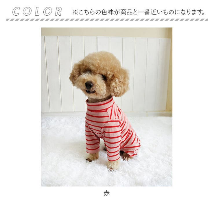 ペット用術後服 長袖 yktdp1 | BACKYARD FAMILY | 詳細画像13 