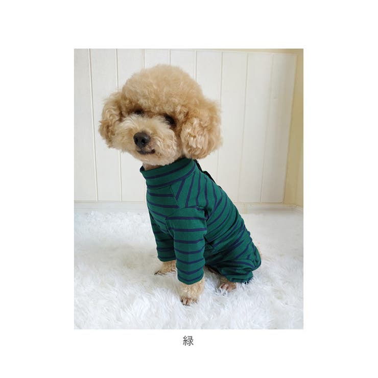 今年も話題の ペット用術後服 長袖 yktdp1[品番：BCYW0018806]｜BACKYARD 犬服・アクセサリー