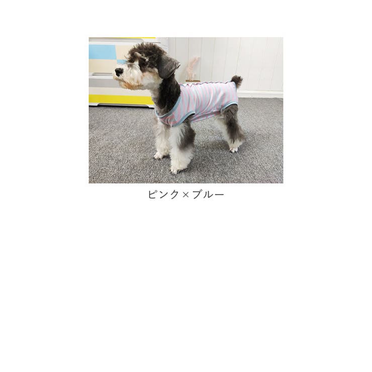 ペット用術後服 yktdp2 | BACKYARD FAMILY | 詳細画像20 