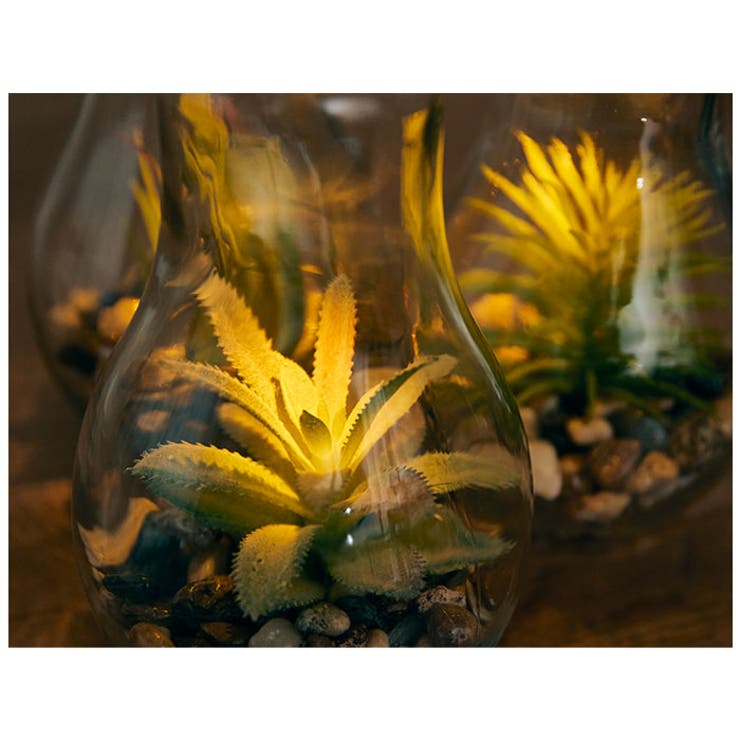 電球型インテリアライト Terrarium | BACKYARD FAMILY | 詳細画像6 