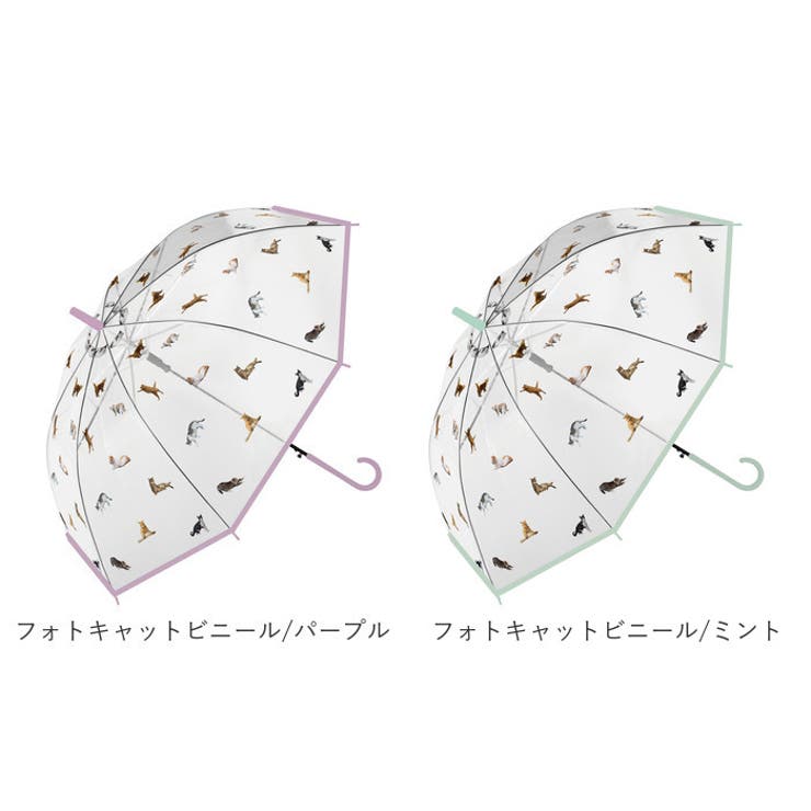 ビニール傘 60cm ティアドロップビニール | BACKYARD FAMILY | 詳細画像17 