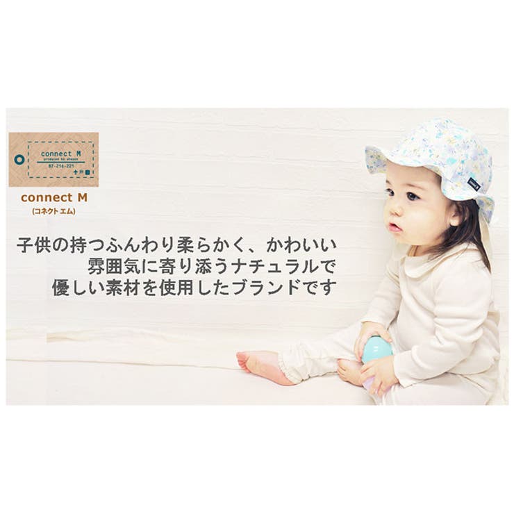 どんぐり