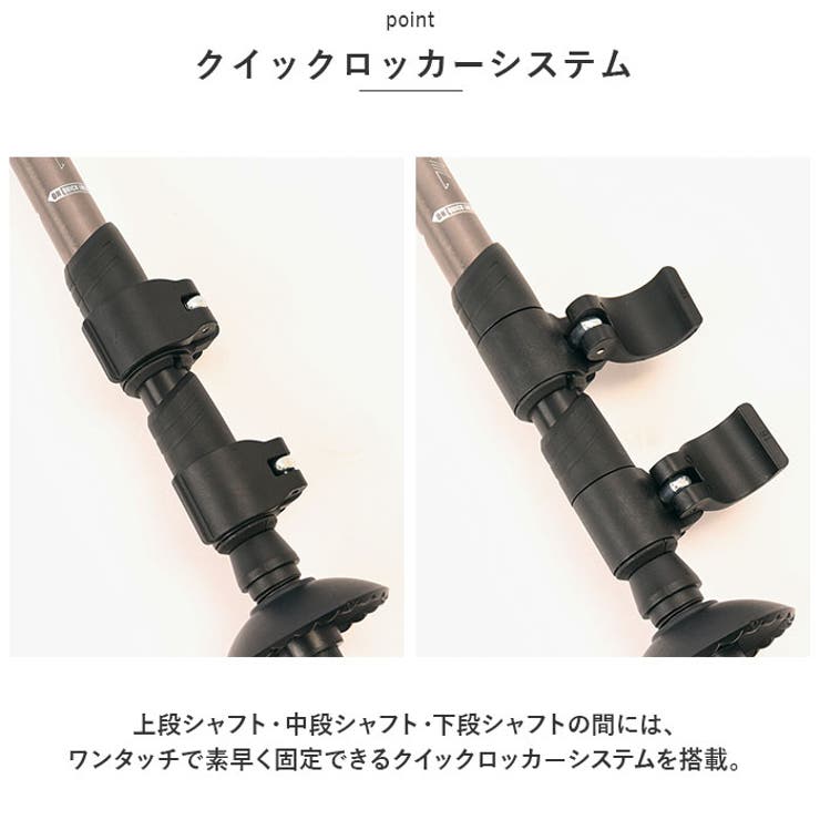 アルバートル