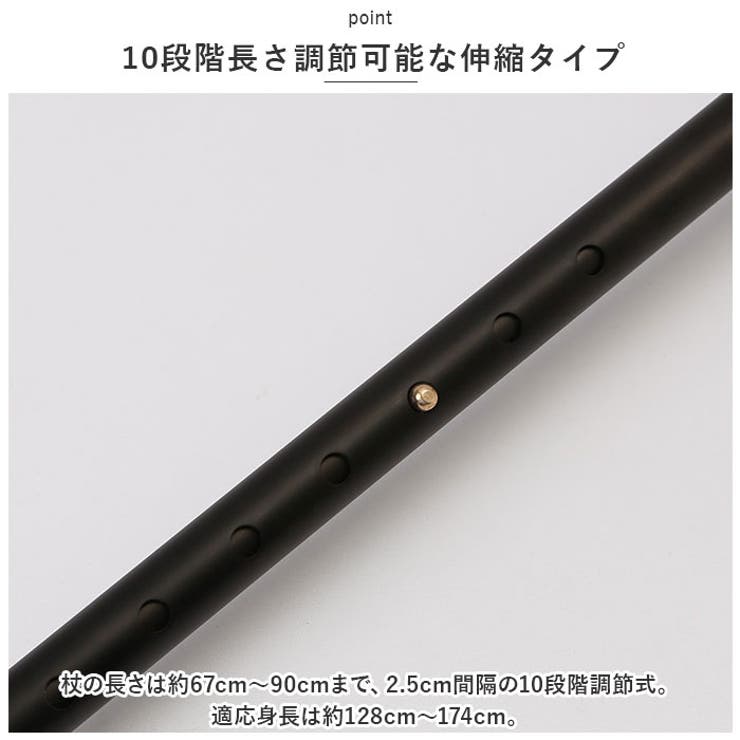 愛杖 Dシリーズ 伸縮タイプ | BACKYARD FAMILY | 詳細画像4 