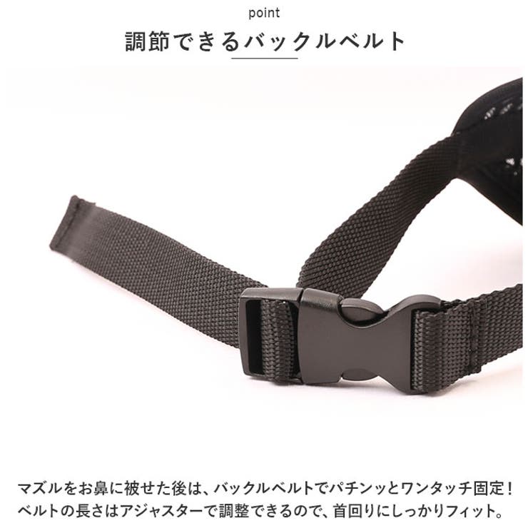 basic-01-03fw.jpg