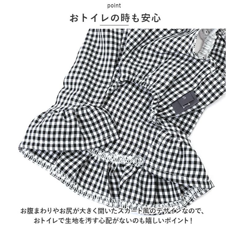 ペット服 pkpt89131 | BACKYARD FAMILY | 詳細画像7 