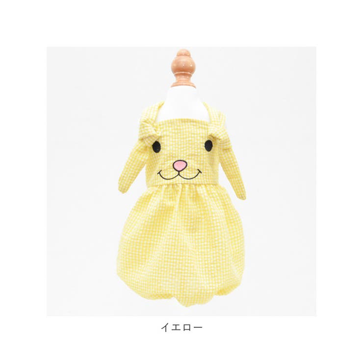 ペット