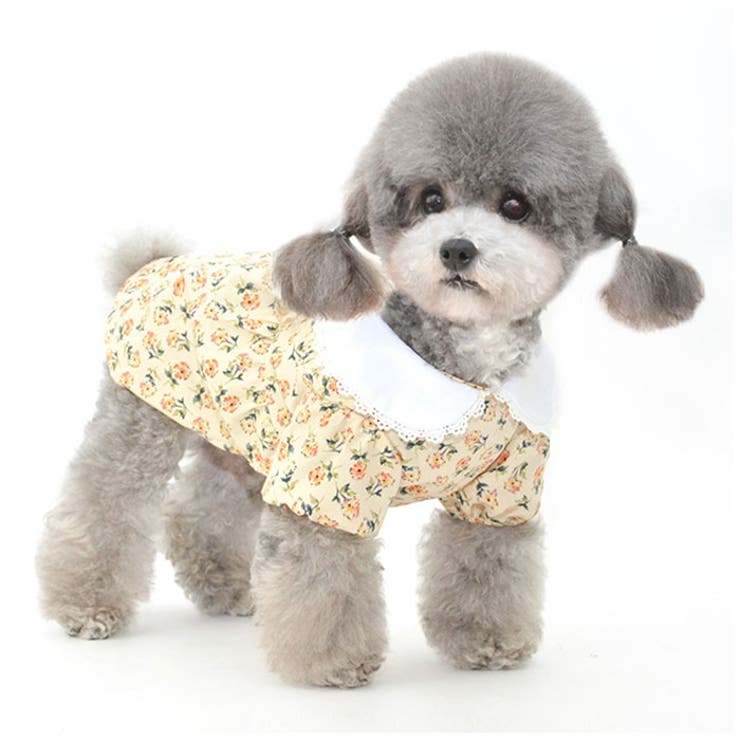 ペット服 pkpt89439 | BACKYARD FAMILY | 詳細画像11 