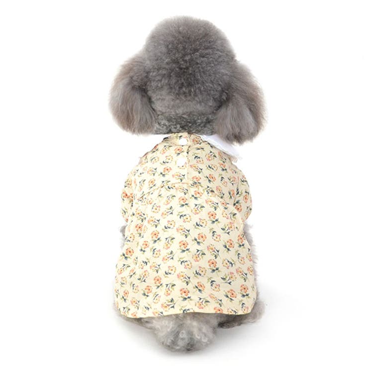 ペット服 pkpt89439 | BACKYARD FAMILY | 詳細画像13 