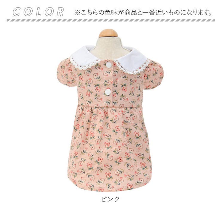 ペット服 pkpt89439 | BACKYARD FAMILY | 詳細画像15 