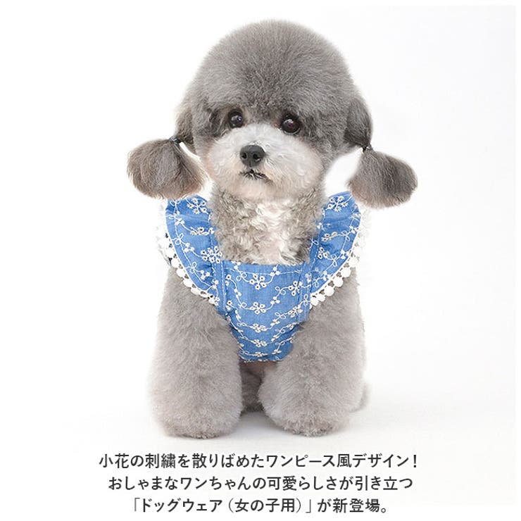 ペット服 pkpt89441 | BACKYARD FAMILY | 詳細画像2 