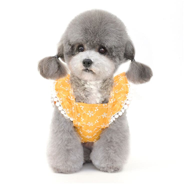 ペット服 pkpt89441 | BACKYARD FAMILY | 詳細画像4 