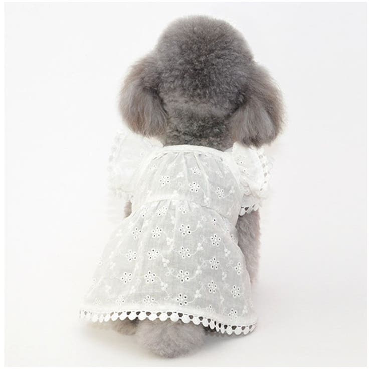 ペット服 pkpt89441 | BACKYARD FAMILY | 詳細画像7 