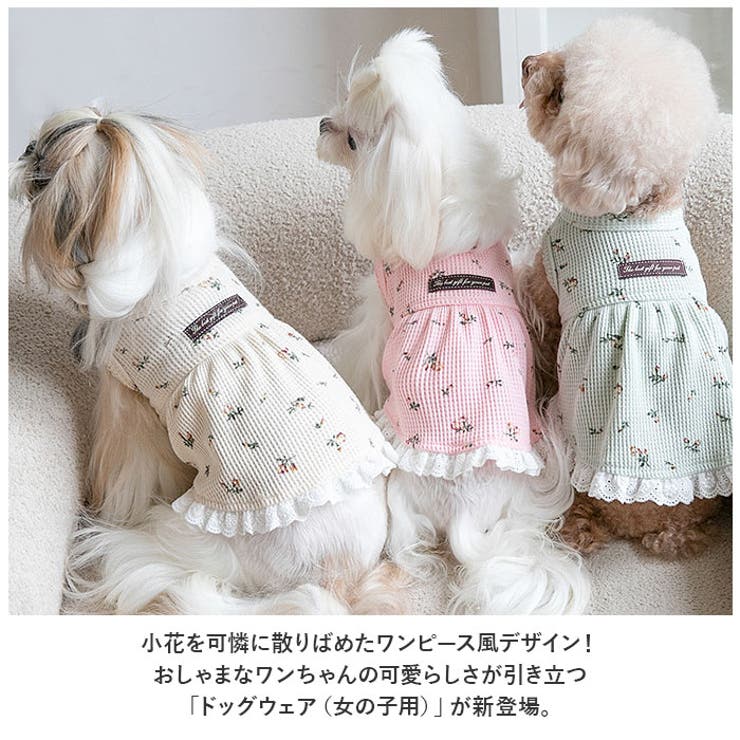 ペット ドッグウェア ワンピース 花柄 yonlydog5163 | BACKYARD FAMILY | 詳細画像2 