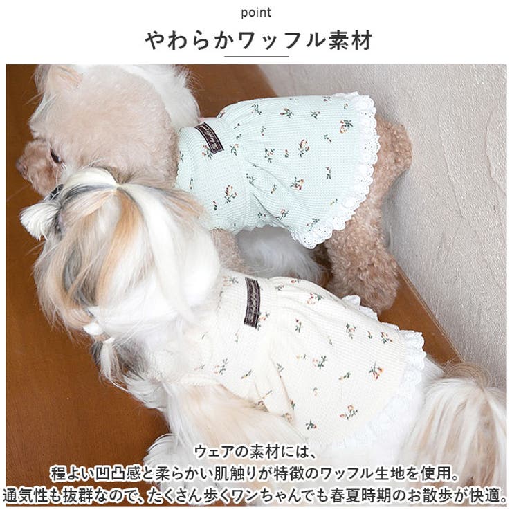 ペット ドッグウェア ワンピース 花柄 yonlydog5163 | BACKYARD FAMILY | 詳細画像5 