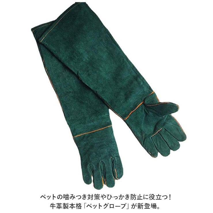 ペットグローブ kgoods28 | BACKYARD FAMILY | 詳細画像2 