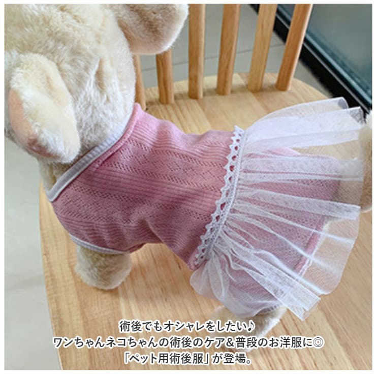 ペット術後服 pmypetwear01 | BACKYARD FAMILY | 詳細画像2 