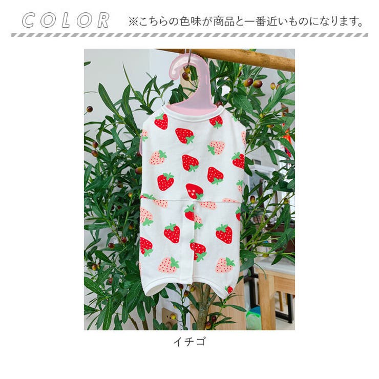 ペット術後服 pmypetwear01 | BACKYARD FAMILY | 詳細画像12 