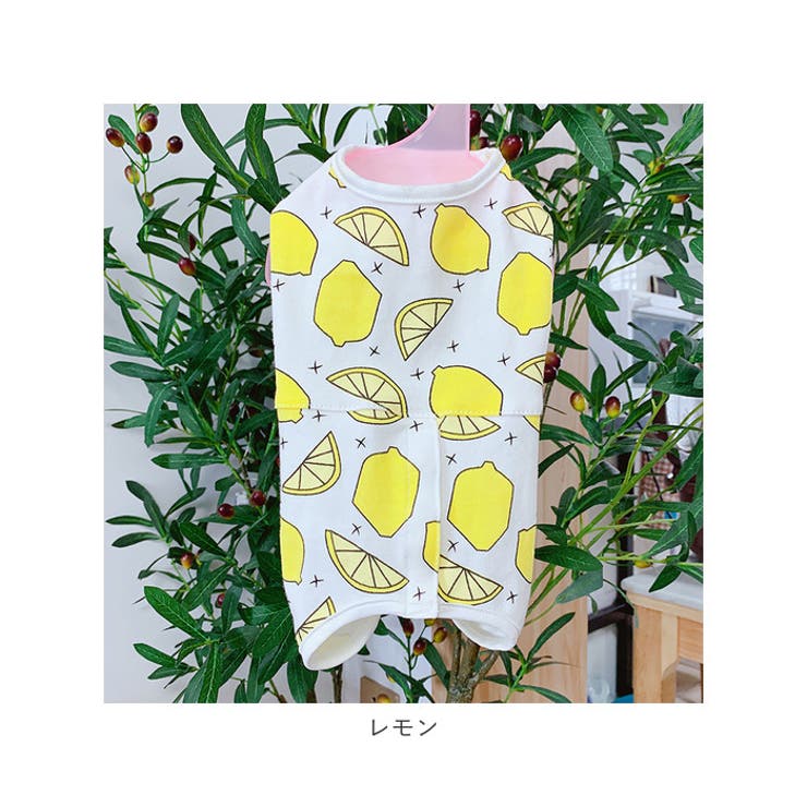 ペット術後服 pmypetwear01 | BACKYARD FAMILY | 詳細画像13 
