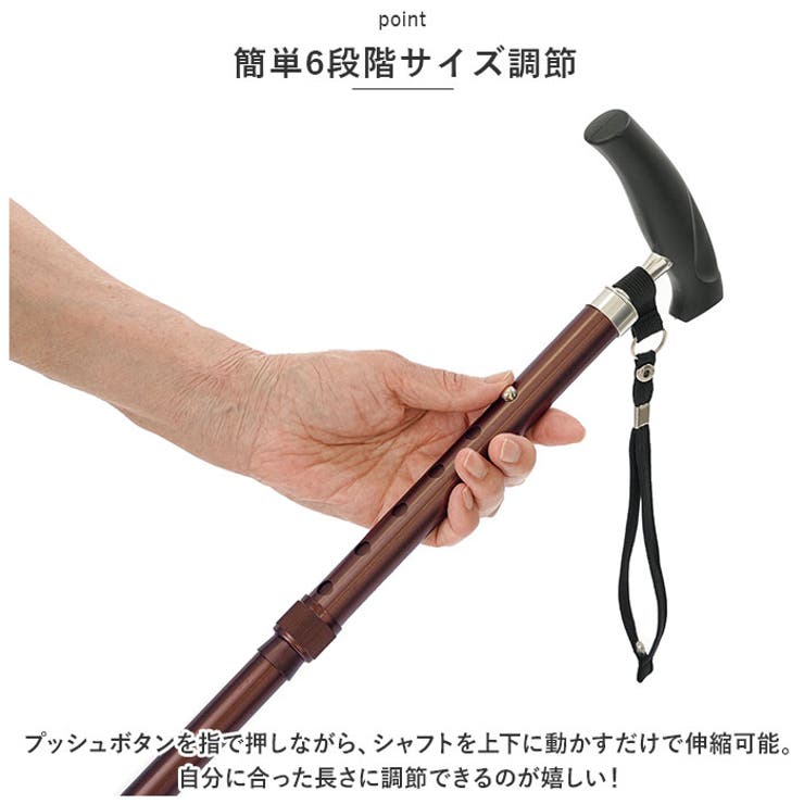 杖