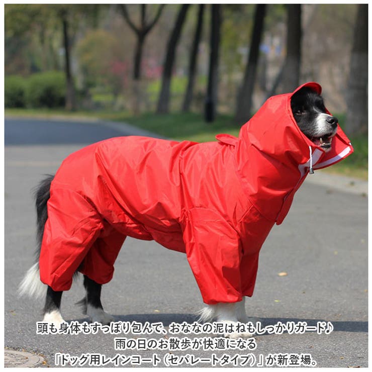 ドックウェア レインコート pmydogwear03 | BACKYARD FAMILY | 詳細画像2 