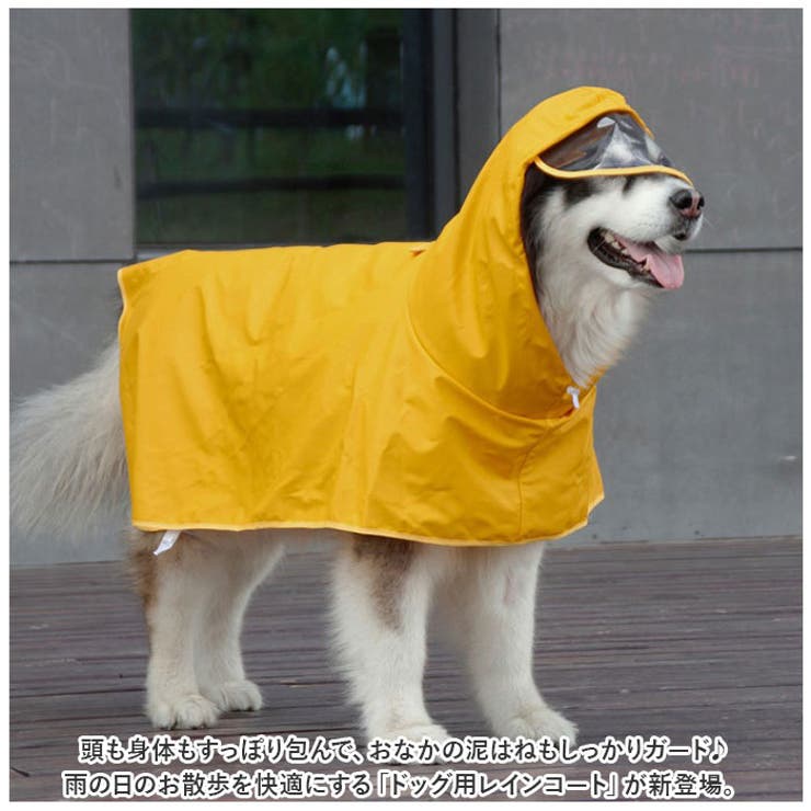 ドックウェア レインコート pmydogwear05 | BACKYARD FAMILY | 詳細画像2 