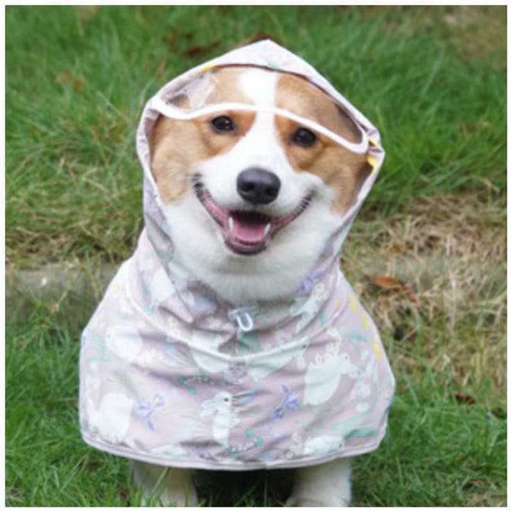 ドックウェア レインコート pmydogwear05 | BACKYARD FAMILY | 詳細画像3 