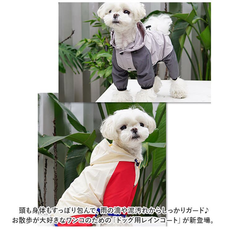 犬 レインコート pmydograin05 | BACKYARD FAMILY | 詳細画像2 