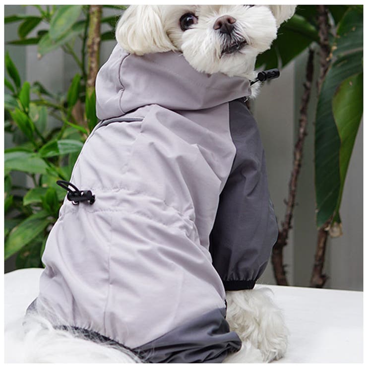 犬 レインコート pmydograin05[品番：BCYW0021825]｜BACKYARD FAMILY