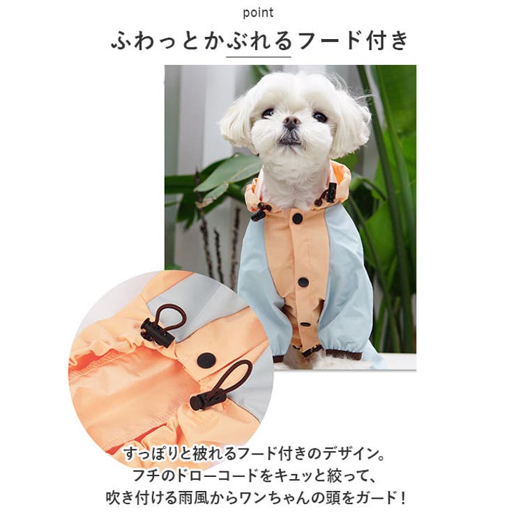 犬 レインコート pmydograin05 | BACKYARD FAMILY | 詳細画像7 