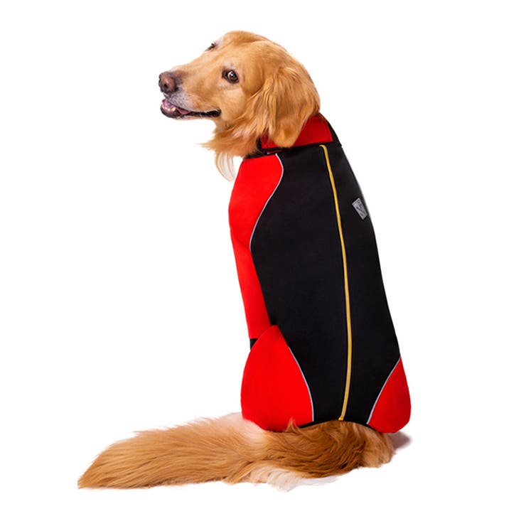 ドッグウェア pmydogwear09 | BACKYARD FAMILY | 詳細画像3 