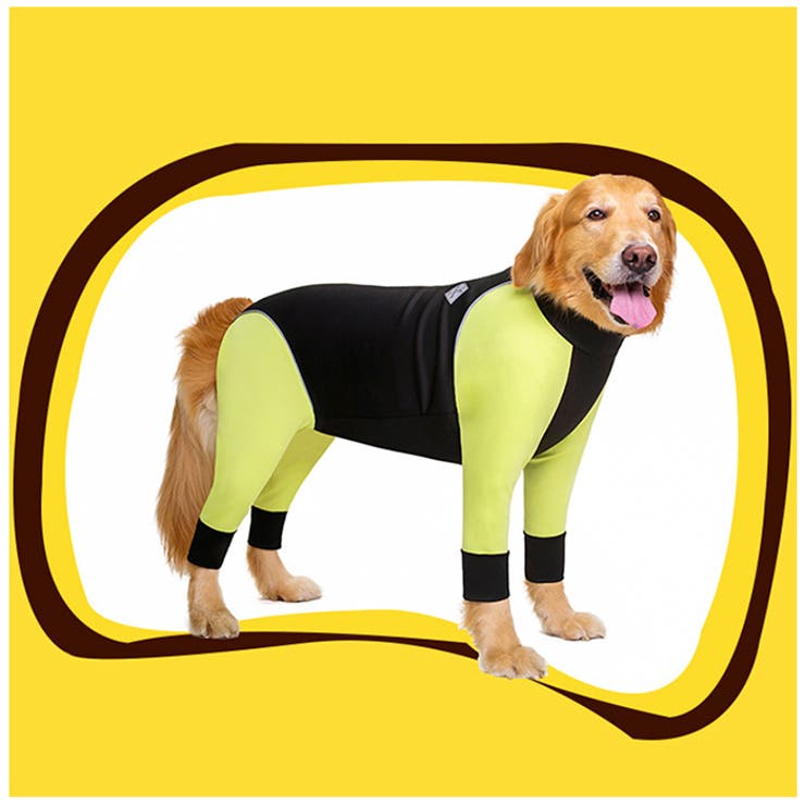 ドッグウェア pmydogwear09 | BACKYARD FAMILY | 詳細画像4 