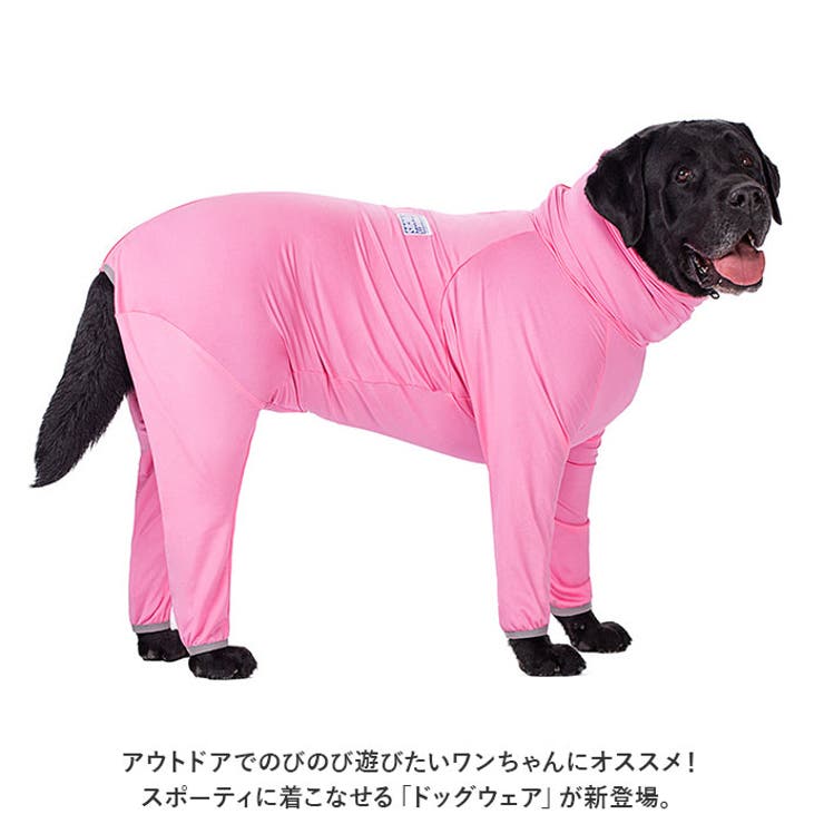 大型犬
