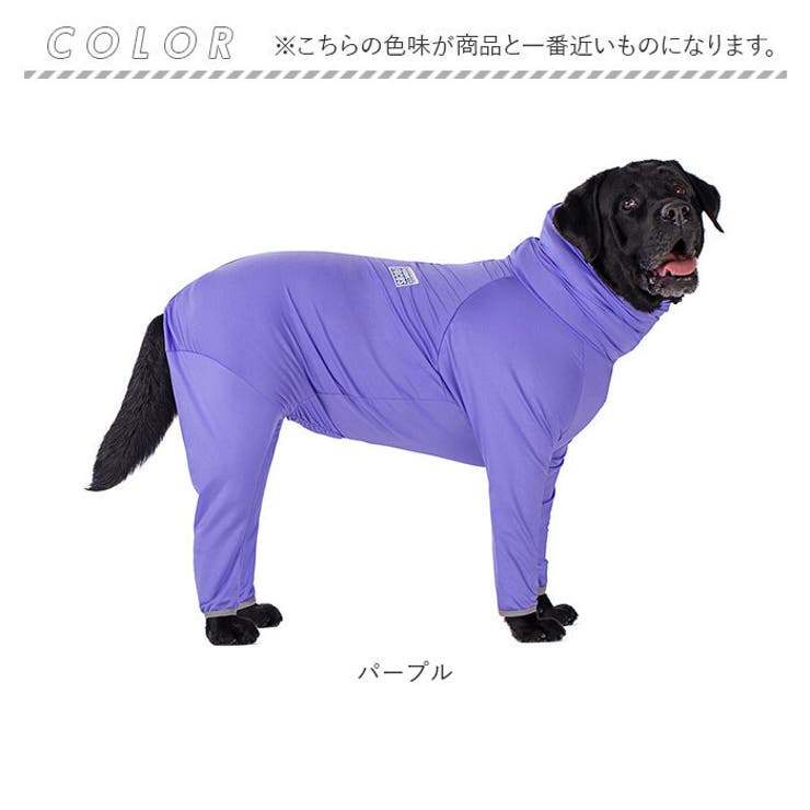 大型犬