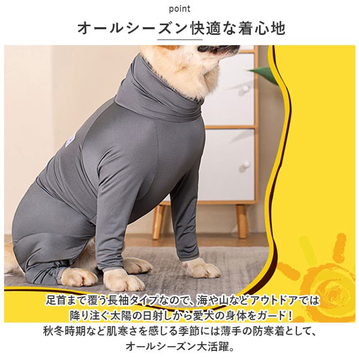 大型犬