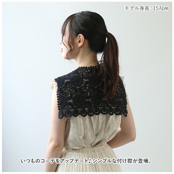 レース付け襟 セーラー ykpj1013[品番：BCYW0021488]｜BACKYARD