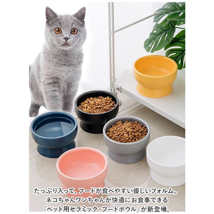 ペット 食器 フードボウル 陶器 yspet5227[品番：BCYW0021893